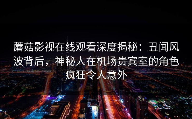 蘑菇影视在线观看深度揭秘：丑闻风波背后，神秘人在机场贵宾室的角色疯狂令人意外