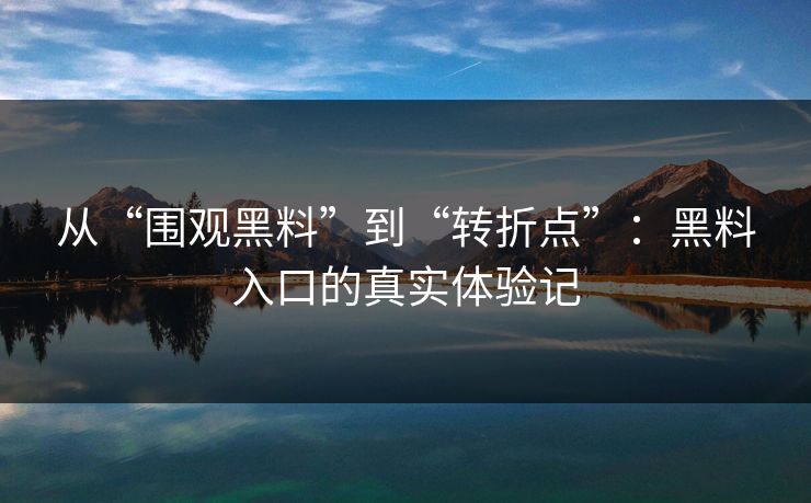 从“围观黑料”到“转折点”：黑料入口的真实体验记